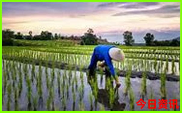 长白山漠河自由行攻略